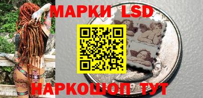 прущие грибы Заволжье