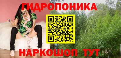 прущие грибы Дубна