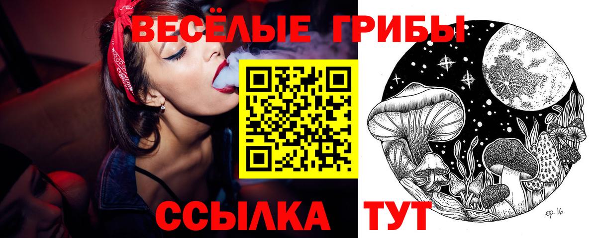 Лянтор  Псилоцибиновые грибы Cubensis  Вход с VPN 