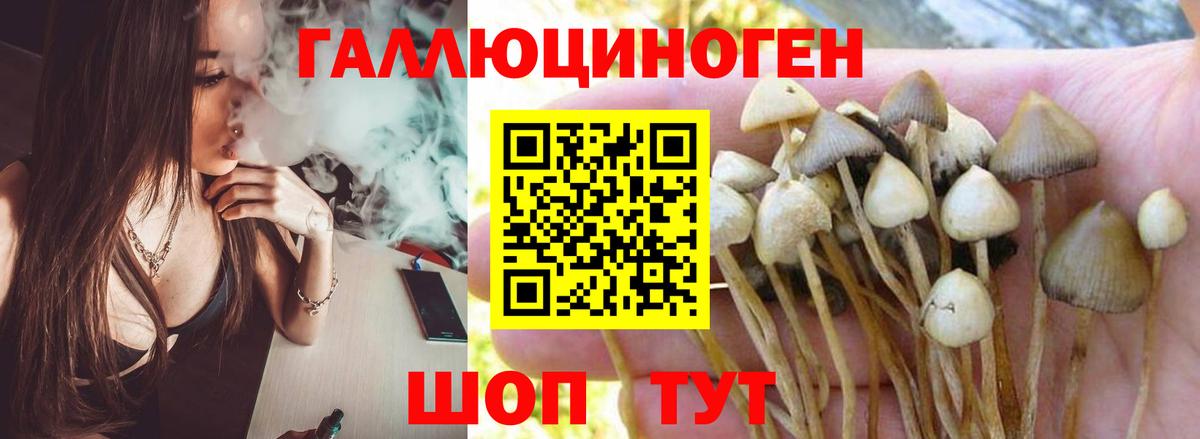 Псилоцибиновые грибы Magic Shrooms Лянтор